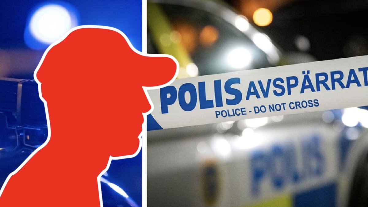En 18-åring och en 17-åring våldtog en minderårig flicka på en toalett i Täby centrum. Arkivbild.